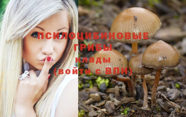 метамфетамин Няндома
